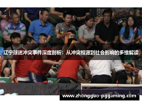 辽宁球迷冲突事件深度剖析：从冲突根源到社会影响的多维解读