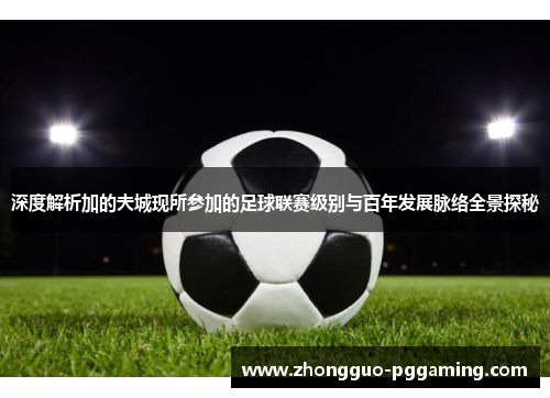 深度解析加的夫城现所参加的足球联赛级别与百年发展脉络全景探秘