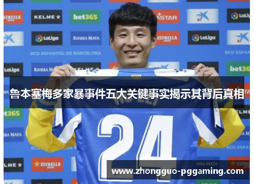 鲁本塞梅多家暴事件五大关键事实揭示其背后真相