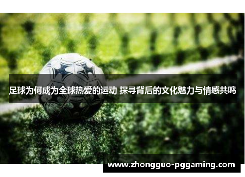 足球为何成为全球热爱的运动 探寻背后的文化魅力与情感共鸣